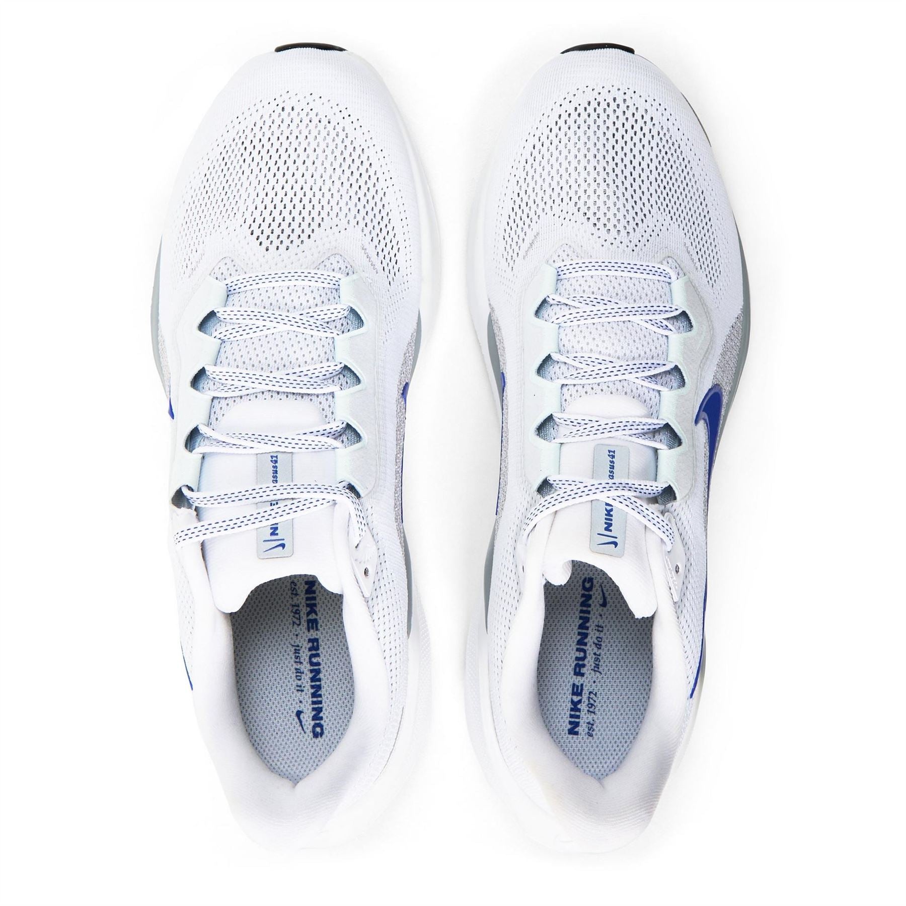 Nike Pegasus 41