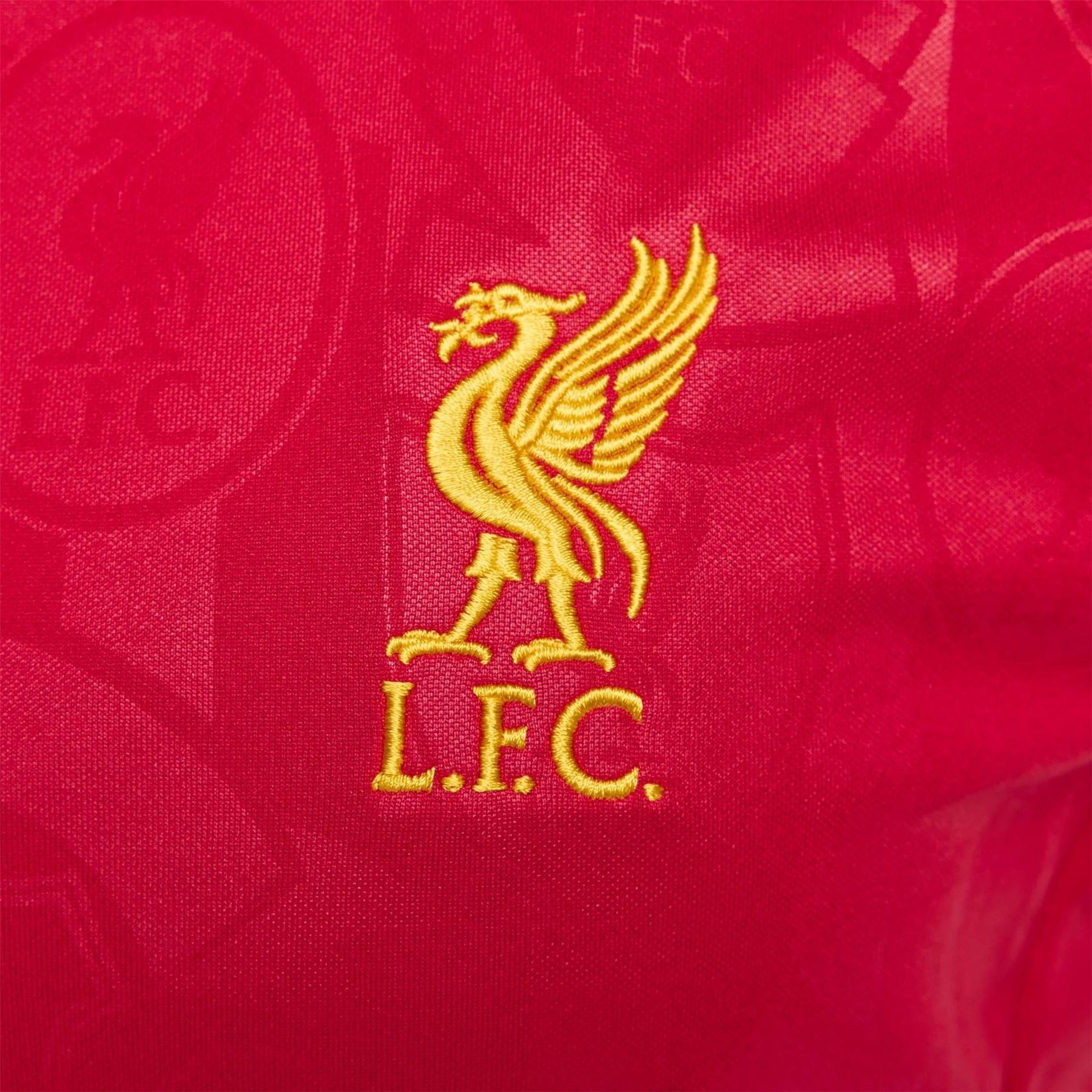 Nike Womens Liverpool Academy Pro Pre Match Shirt 2024 2025