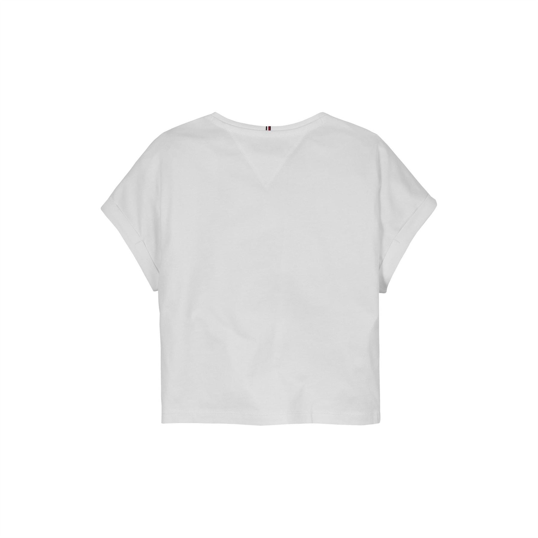 Tommy Hilfiger Regular Fit Flag Graphic Short Sleeve T-Shirt