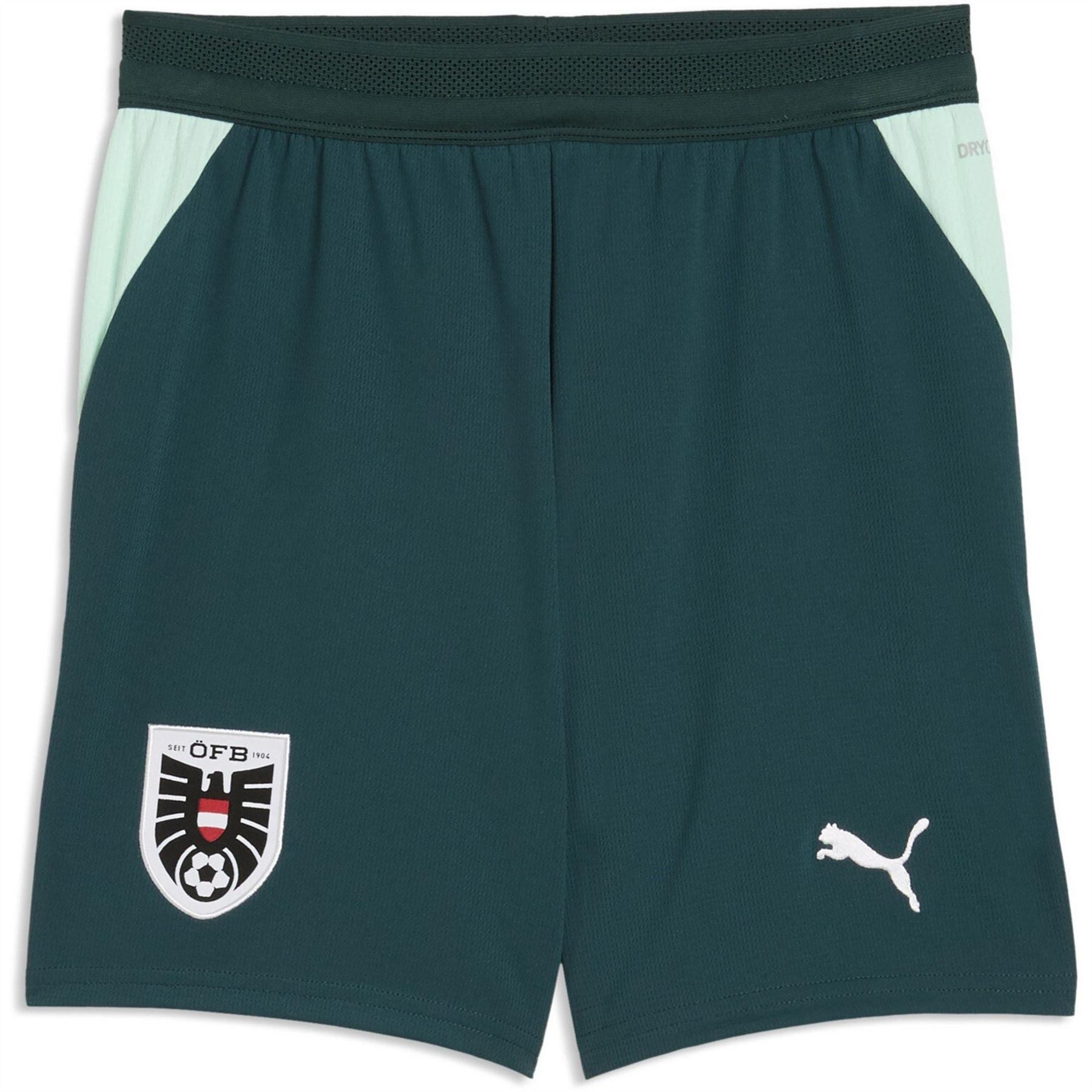 Puma Kids Austria Fifa World Cup 2026™ Football Shorts