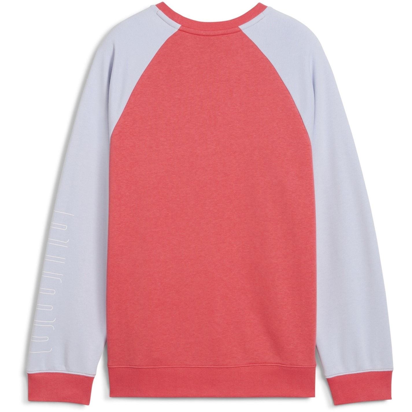 Puma Crew Neck Regular Fit Long Sleeve Sweatshirt