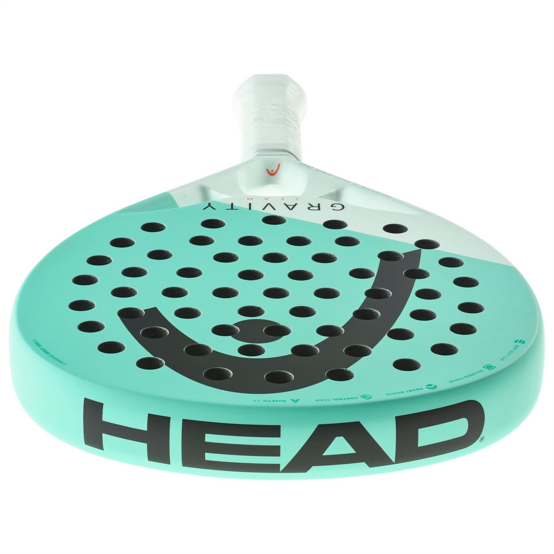 HEAD Gravity Team 2024