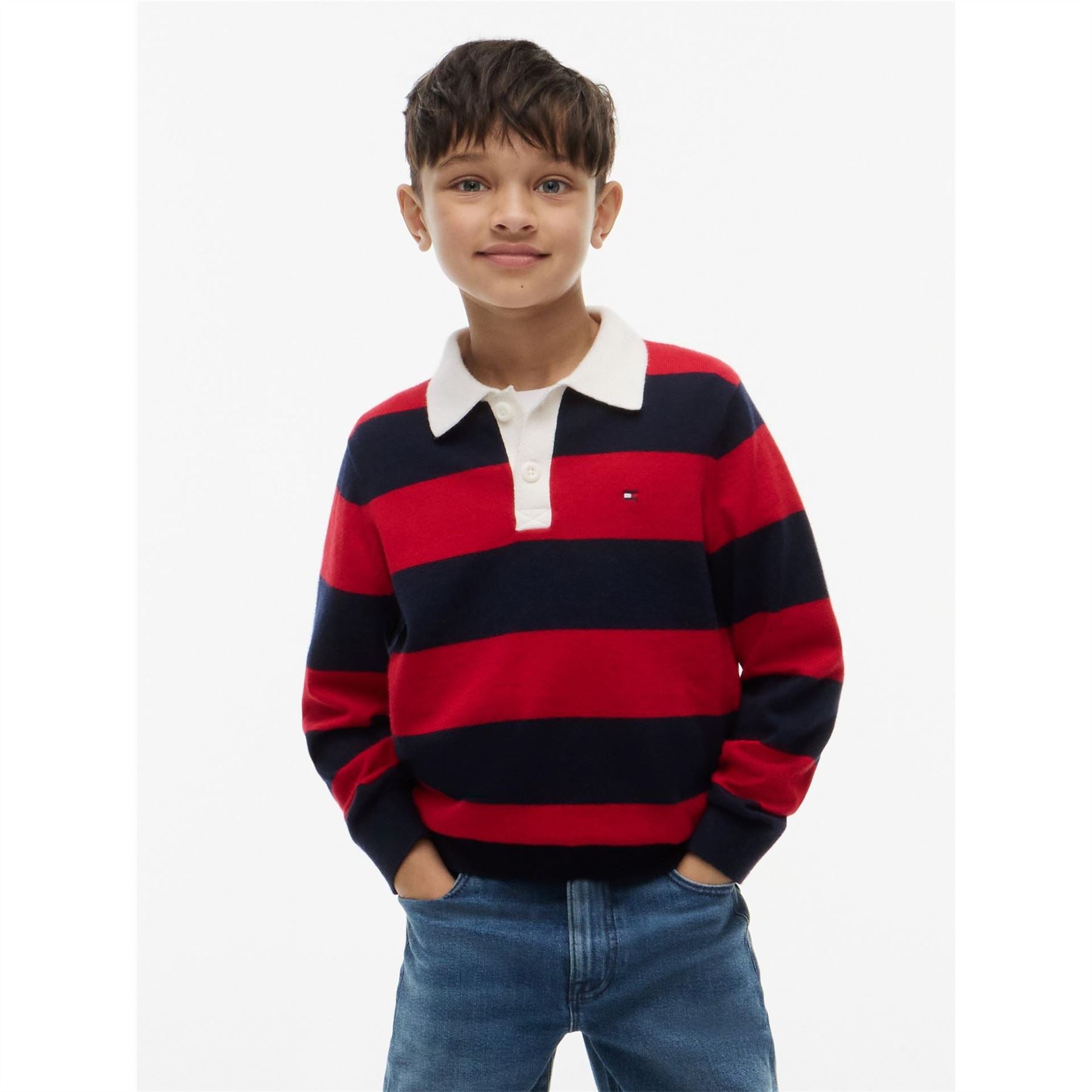 Tommy Hilfiger Knitted Polo L Jn64