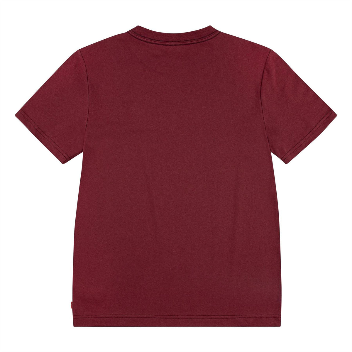 Levis Batwing Crew Neck Regular Fit T-Shirt
