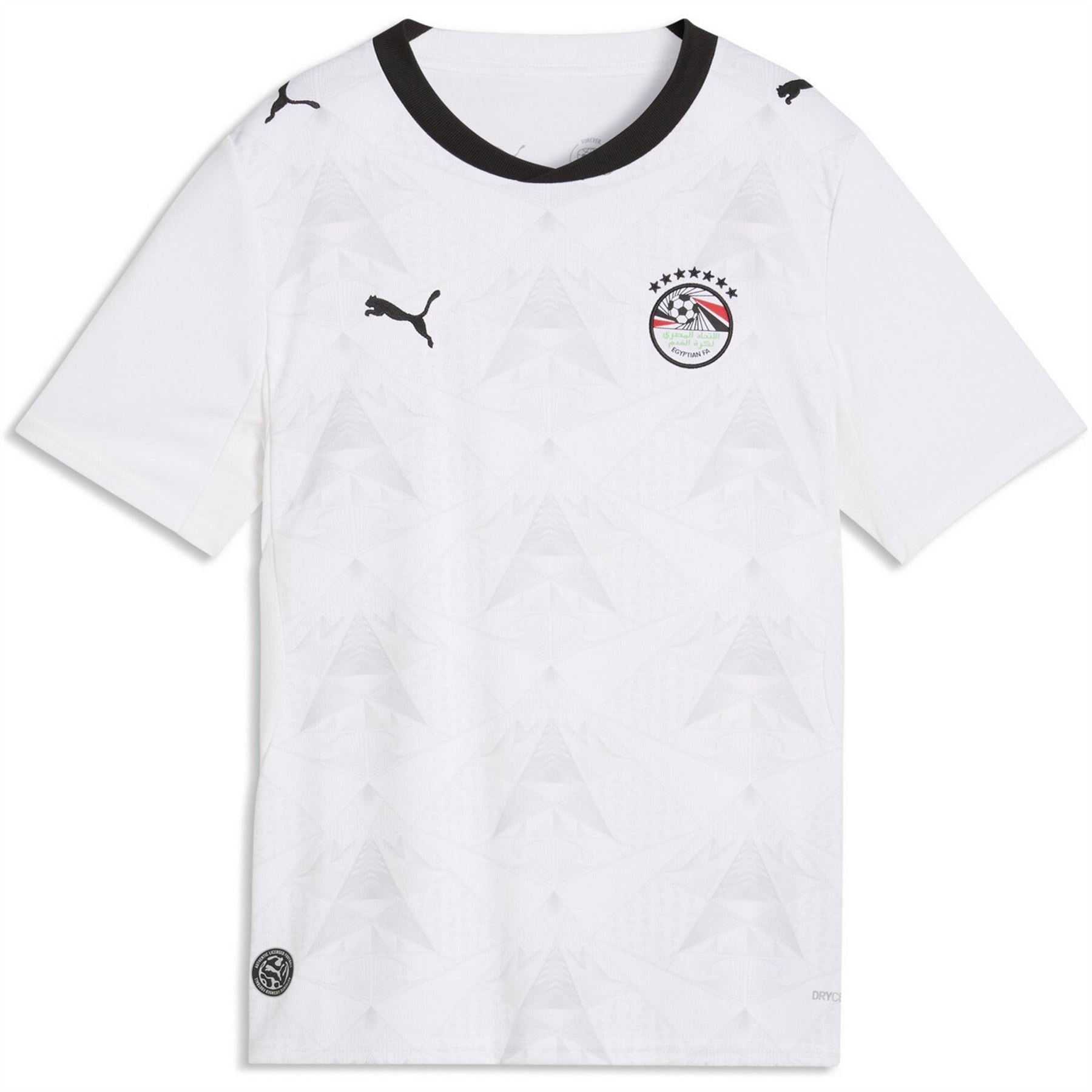 Puma Egypt 2026 Football Shirt
