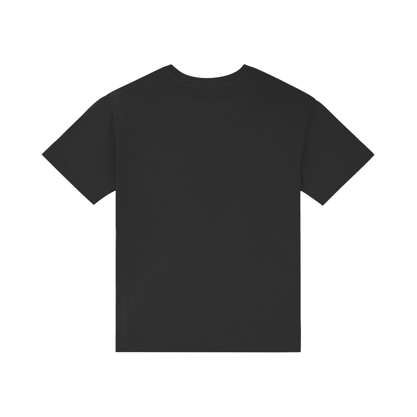 Wrangler Festival Badge Regular Fit T-Shirt