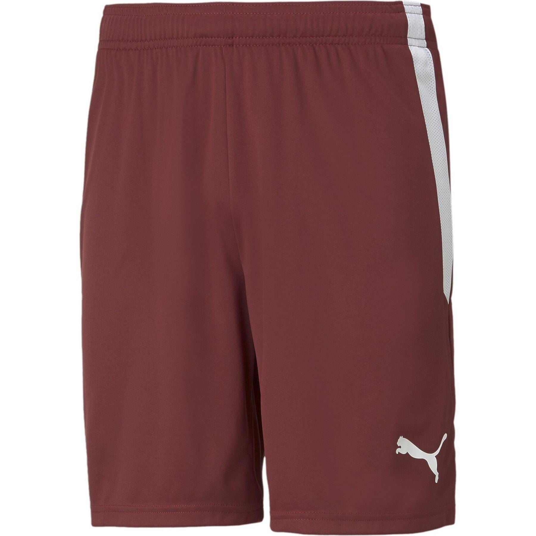 Puma Mens Teamliga Shorts Football Shorts