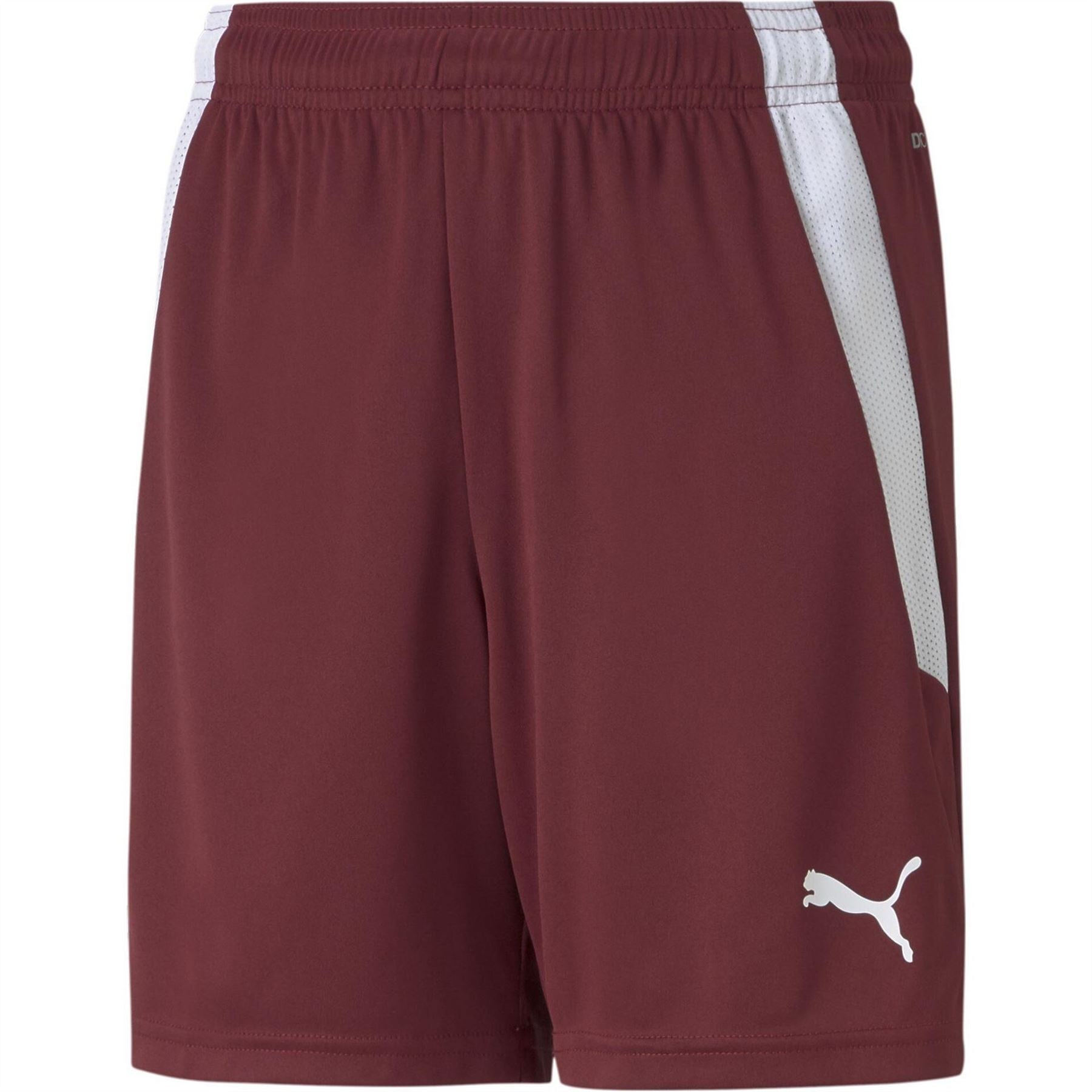 Puma Teamliga Shorts Jr Football Short Unisex Kids