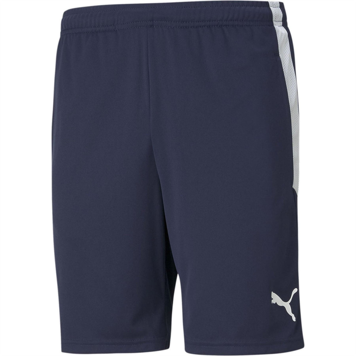 Puma Mens Teamliga Training Shorts Football Shorts
