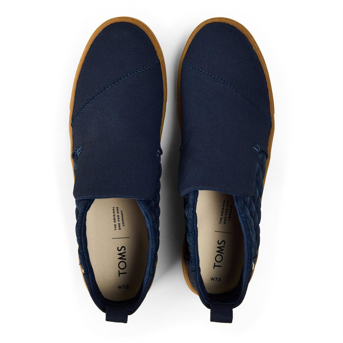 Toms Canvasas Ladies