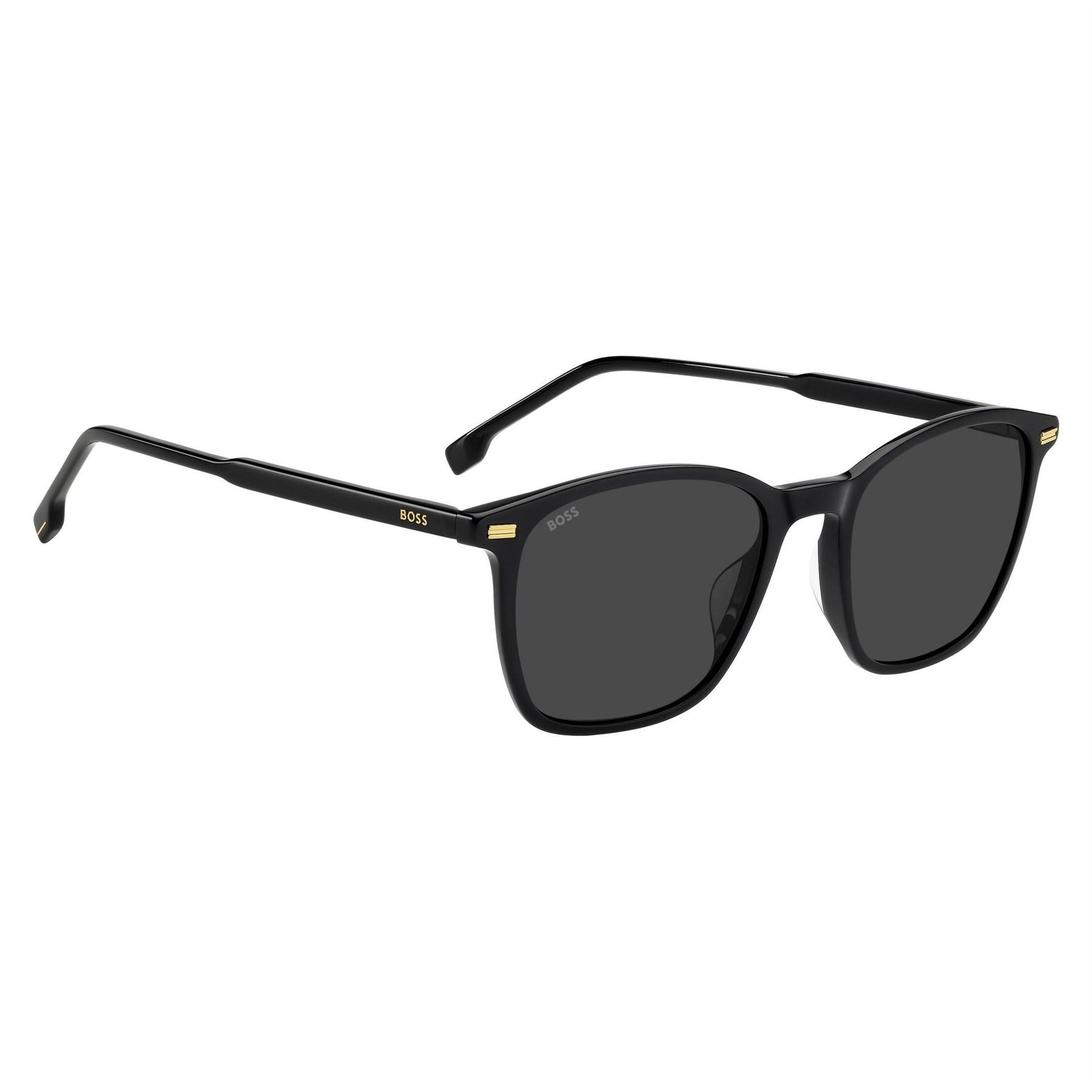 Boss Panthos Wayfarer Sunglasses