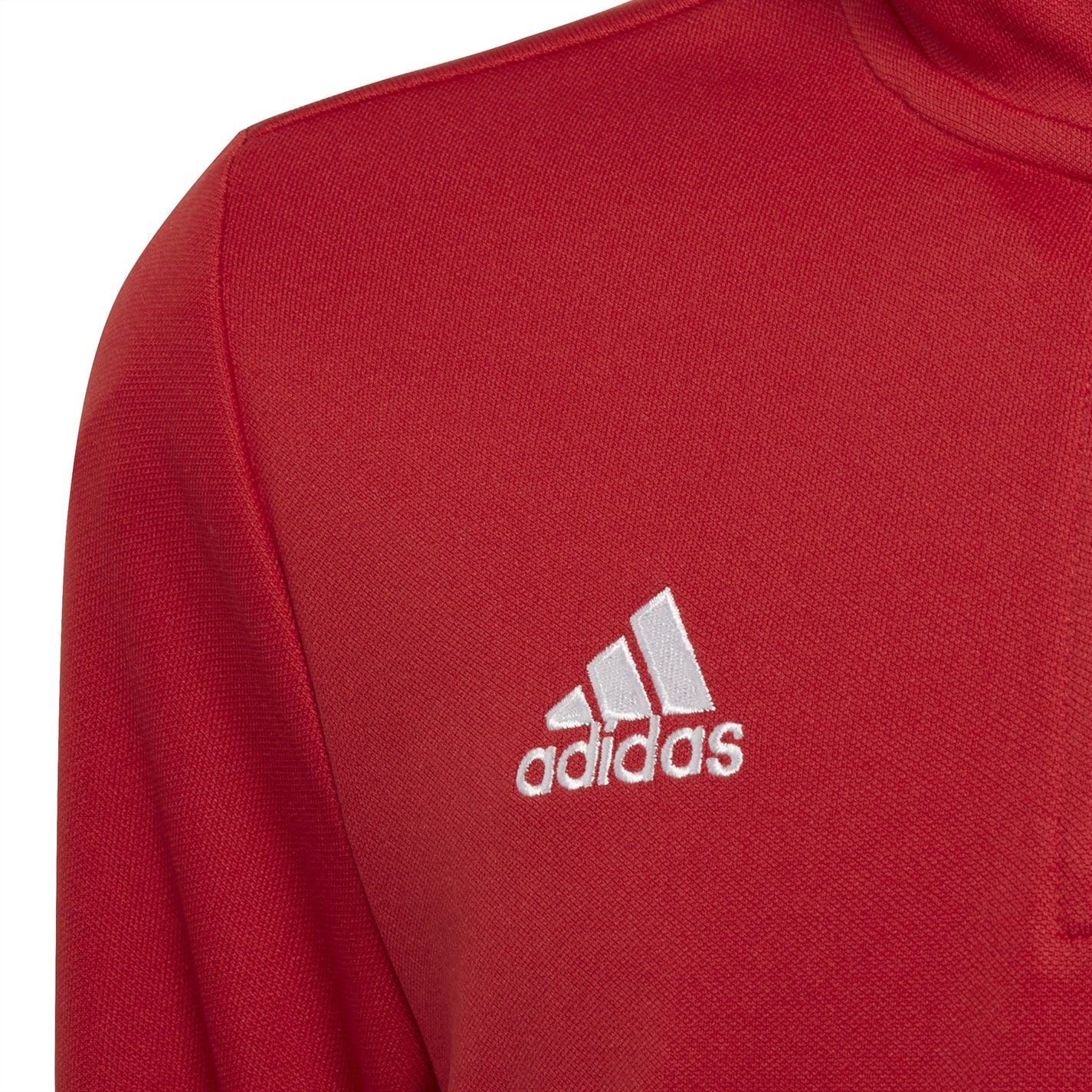 adidas Entrada 22 Training Top Juniors