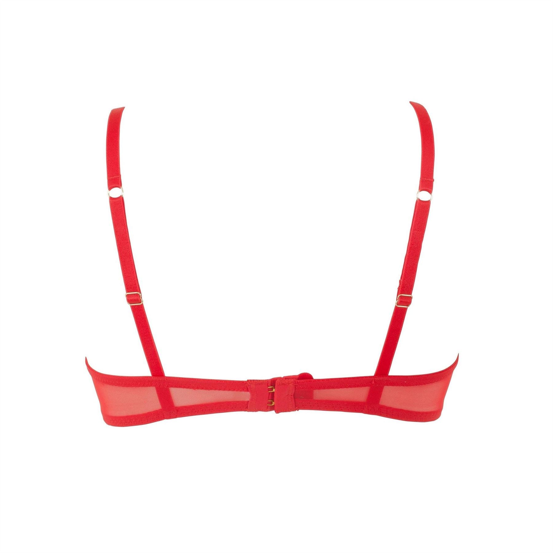 Bluebella Bra