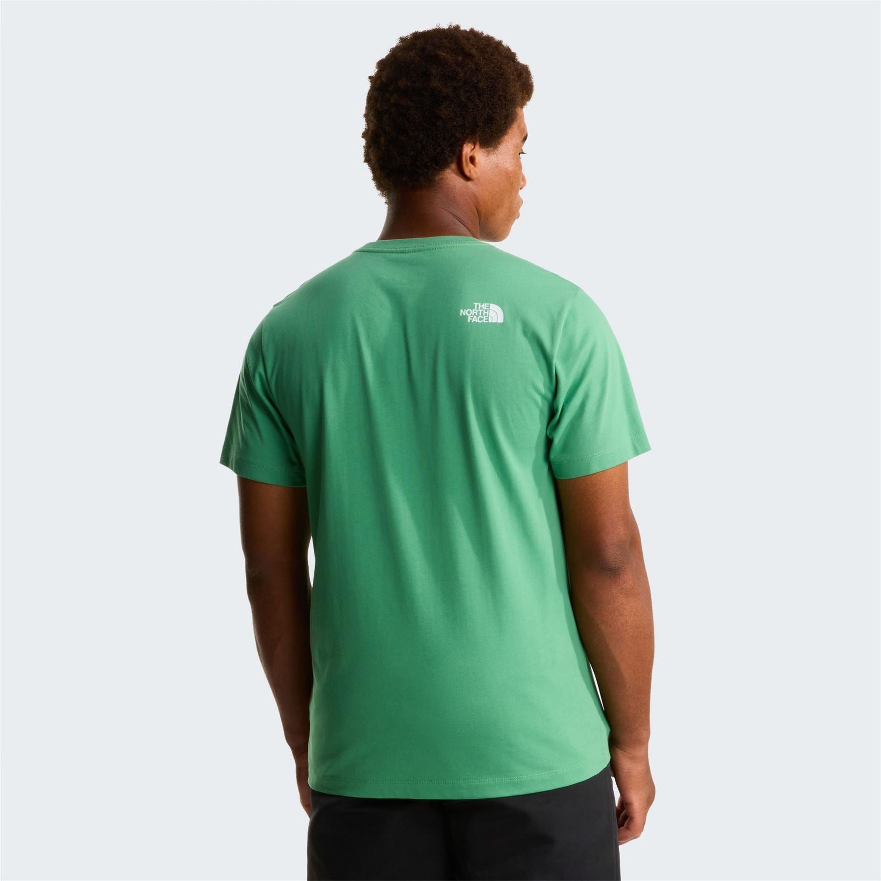 The North Face Mens Regular Fit Short Sleeve T-Shirt
