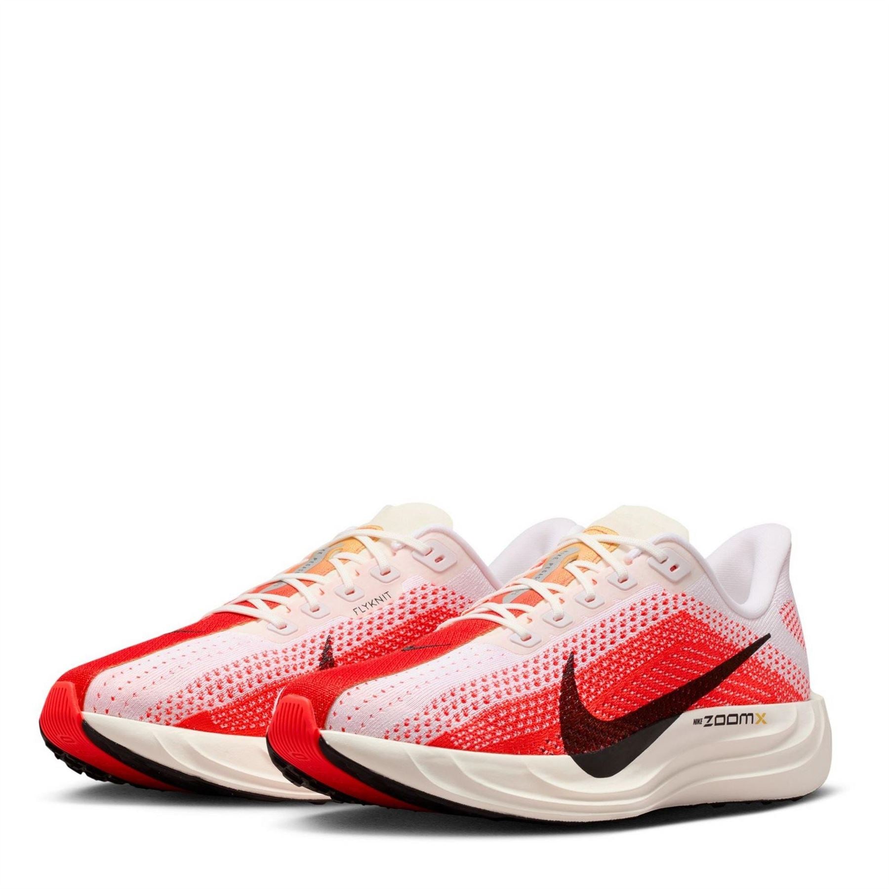 Nike Mens Pegasus Plus Trainers
