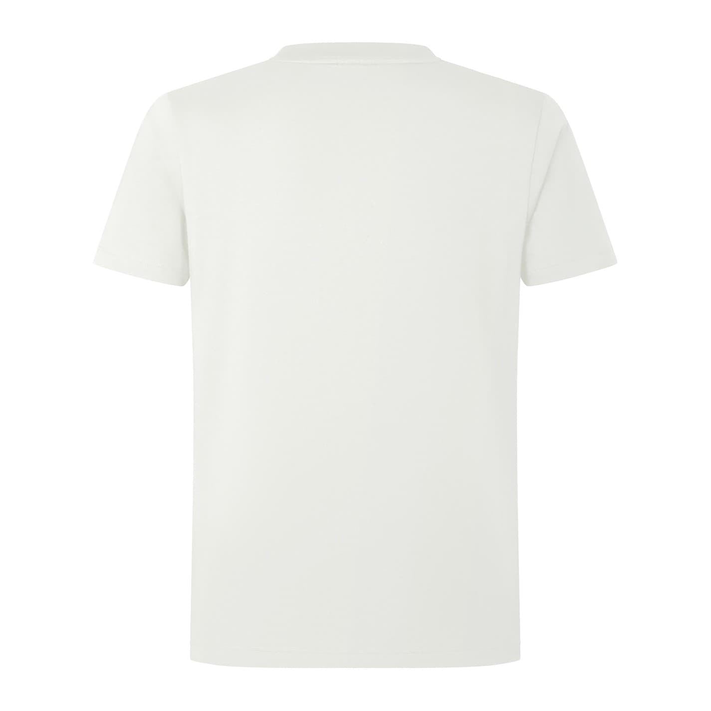 Canterbury British And Irish Lions T-Shirt 2025 Adults