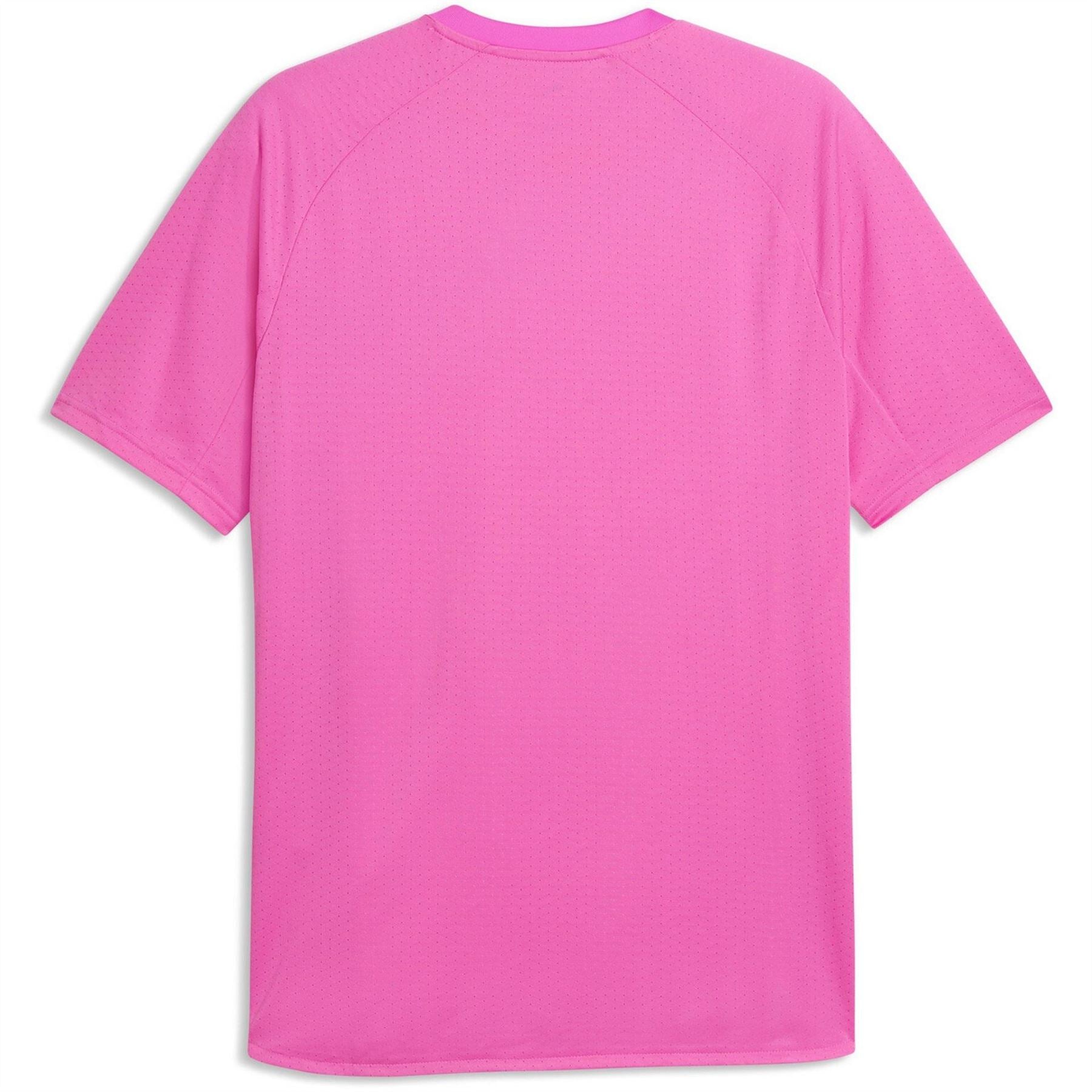 Puma Liga Crew Neck Raglan Sleeve Jersey T-Shirt
