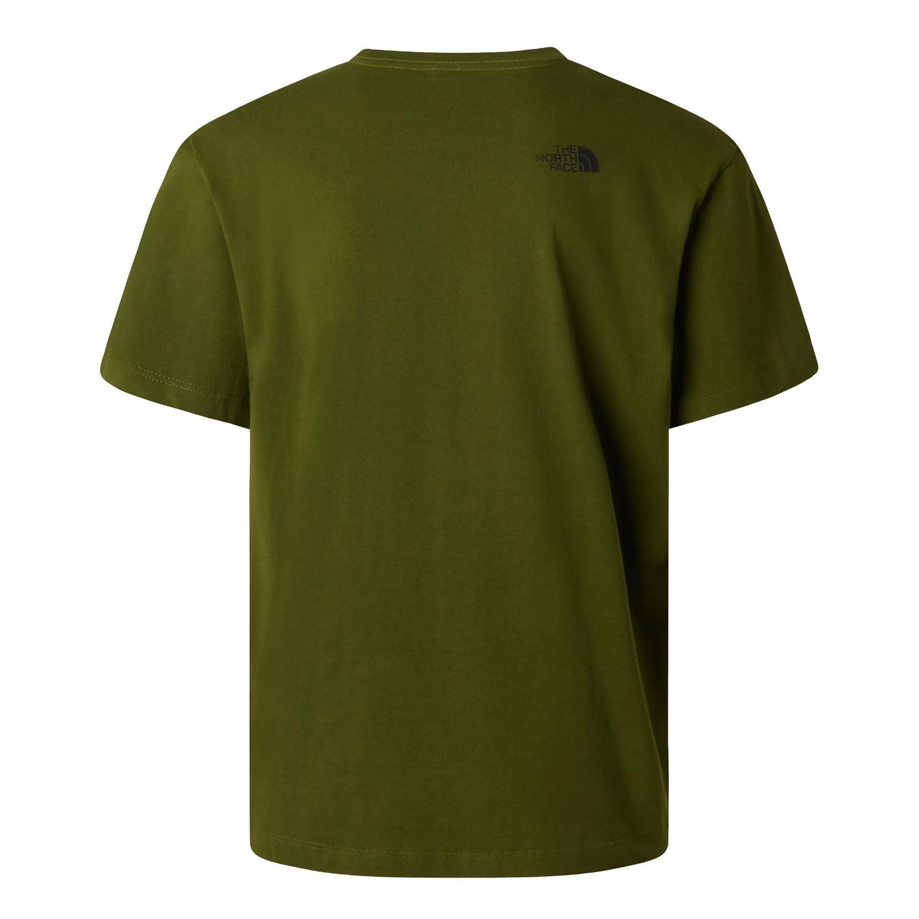 The North Face Mens Mountain Logo Tee