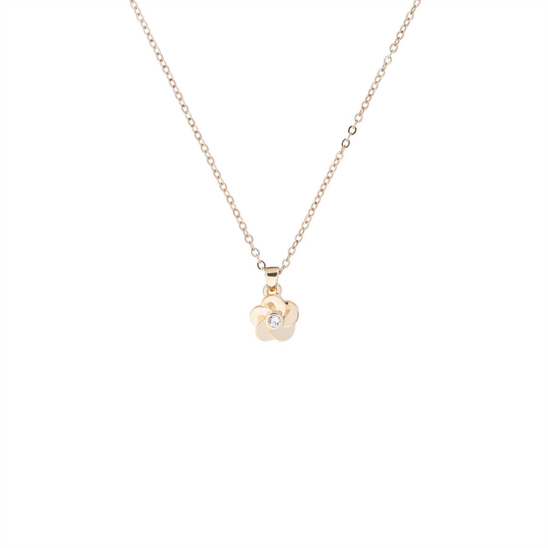 Ted Baker Parnela Pendant Necklace with Charm