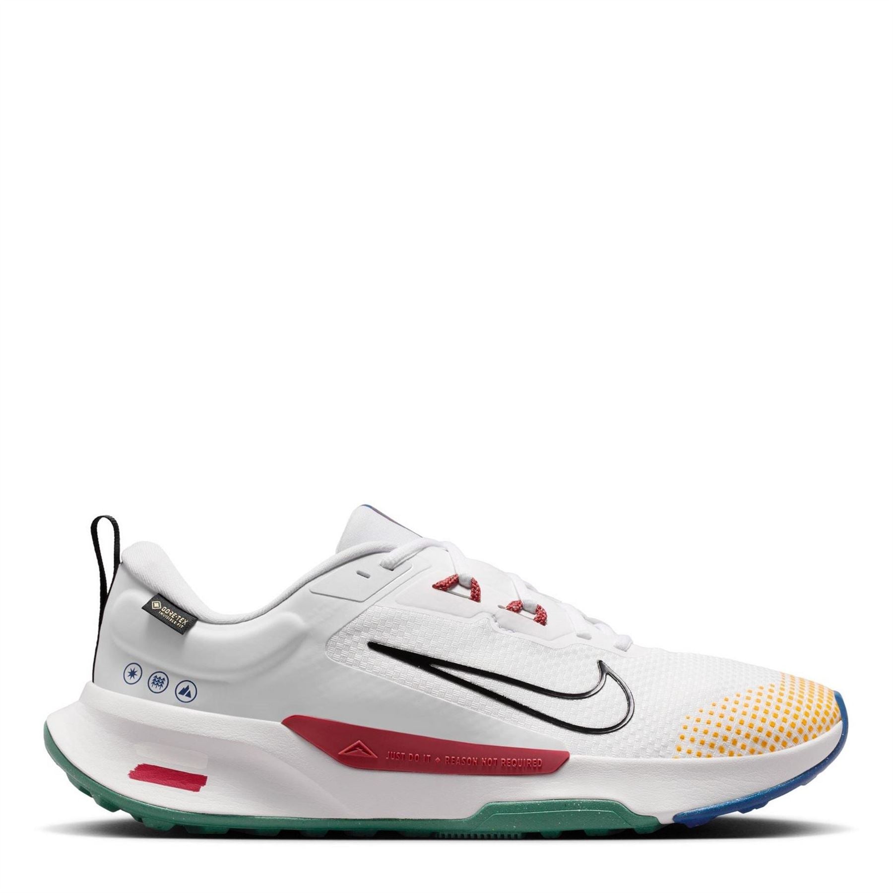 Nike Mens Trail 2 GorE-Tex Trail Running Shoes