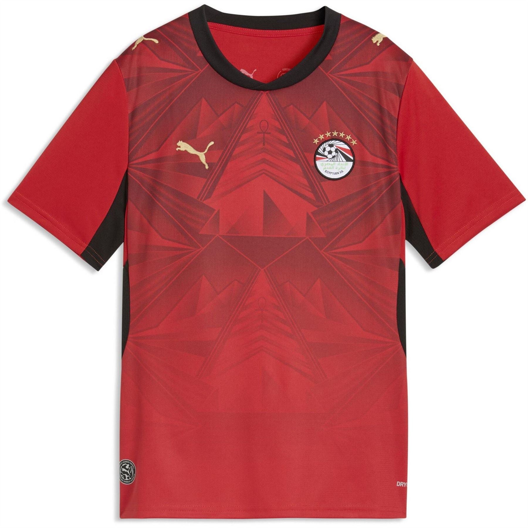 Puma Egypt 2026 Football Shirt