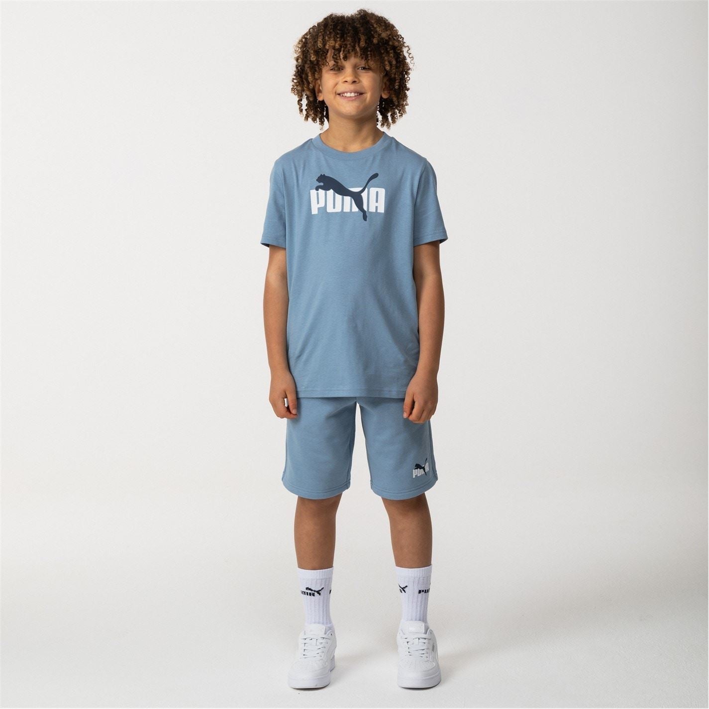 Puma Essentials Graphic Regular Fit T Shirt
