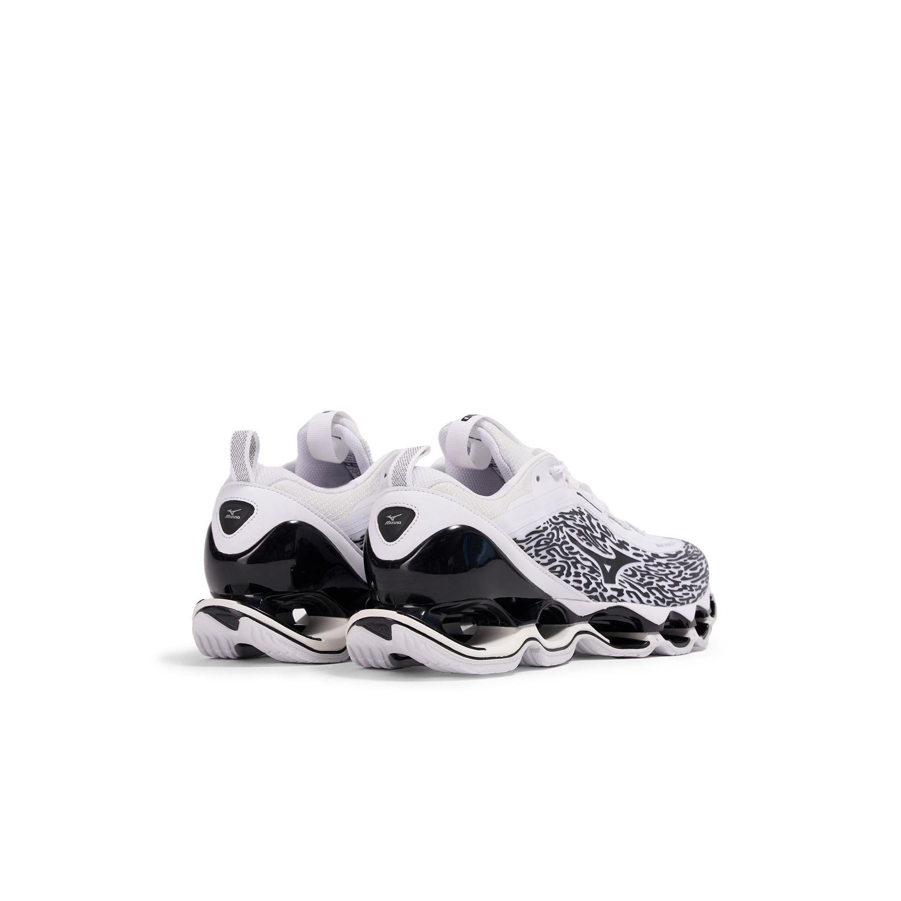 Mizuno Wave Prophecy