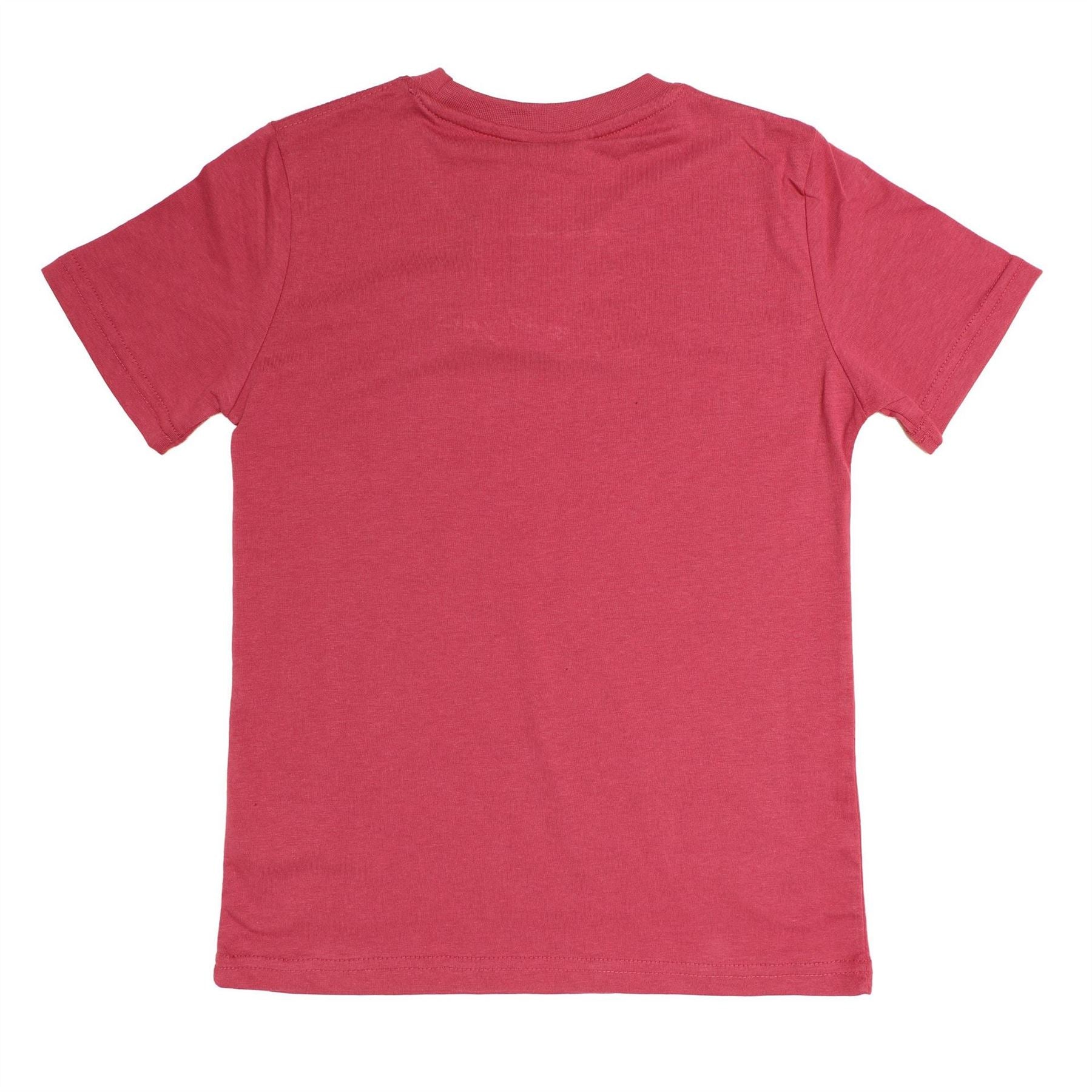 Hype Regular Fit Lettering Crew Neck T-Shirt
