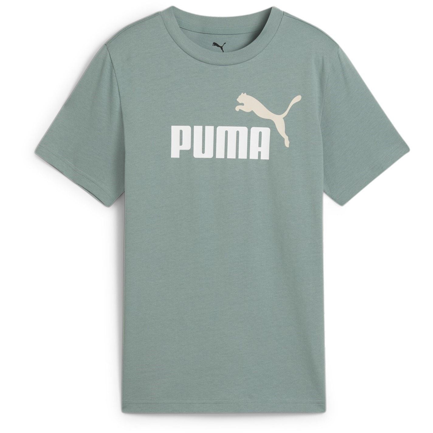 Puma Essentials Graphic Regular Fit T Shirt