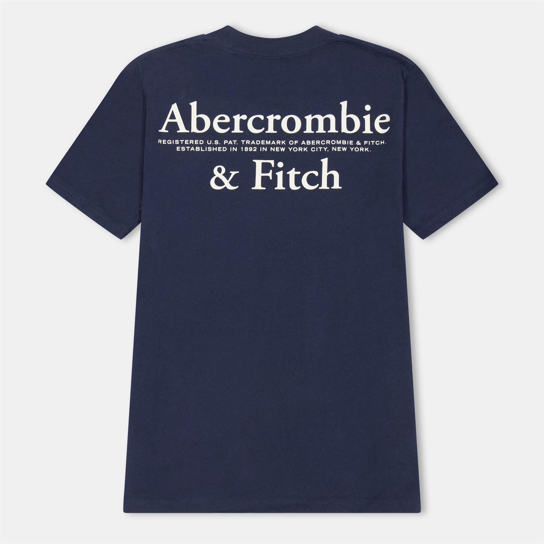 Abercrombie and Fitch And F Foothill Tee Jn54