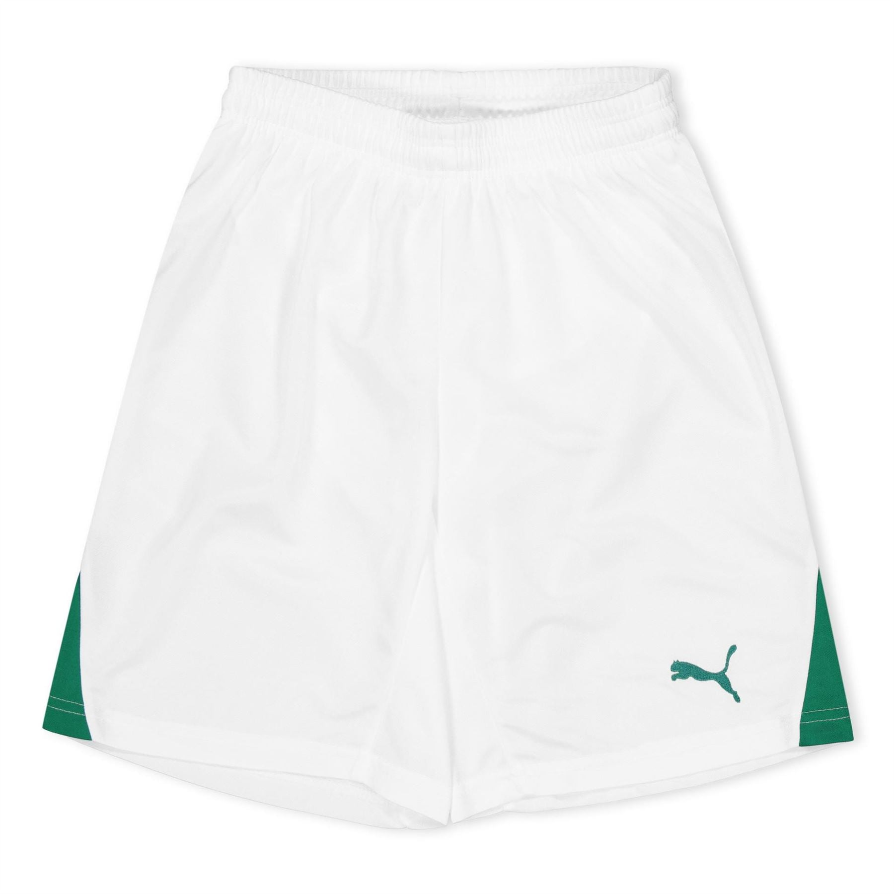 Puma Fb Team Shorts With Brief Juniors