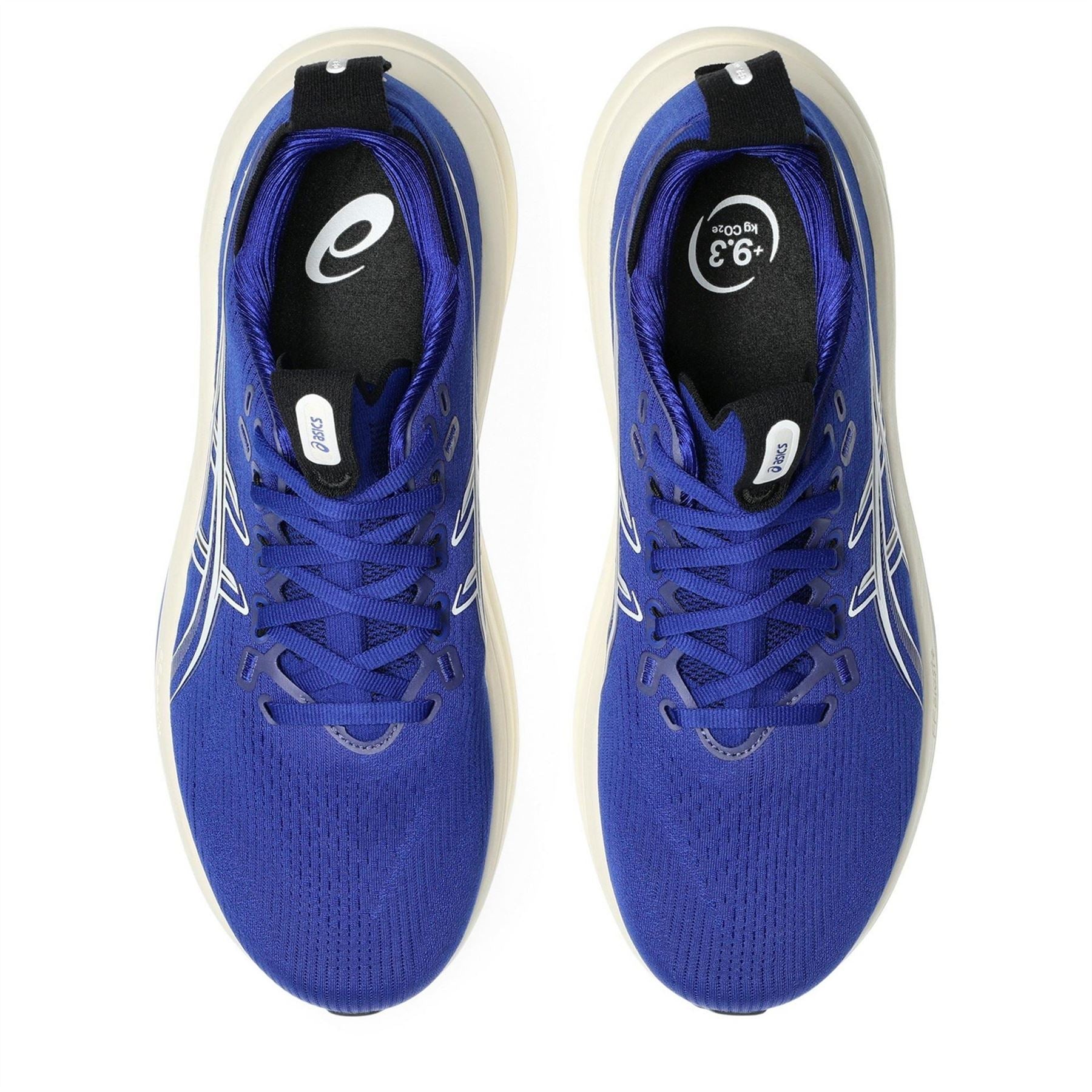 Asics Gel Nimbus Everyday Neutral Road Running Shoes