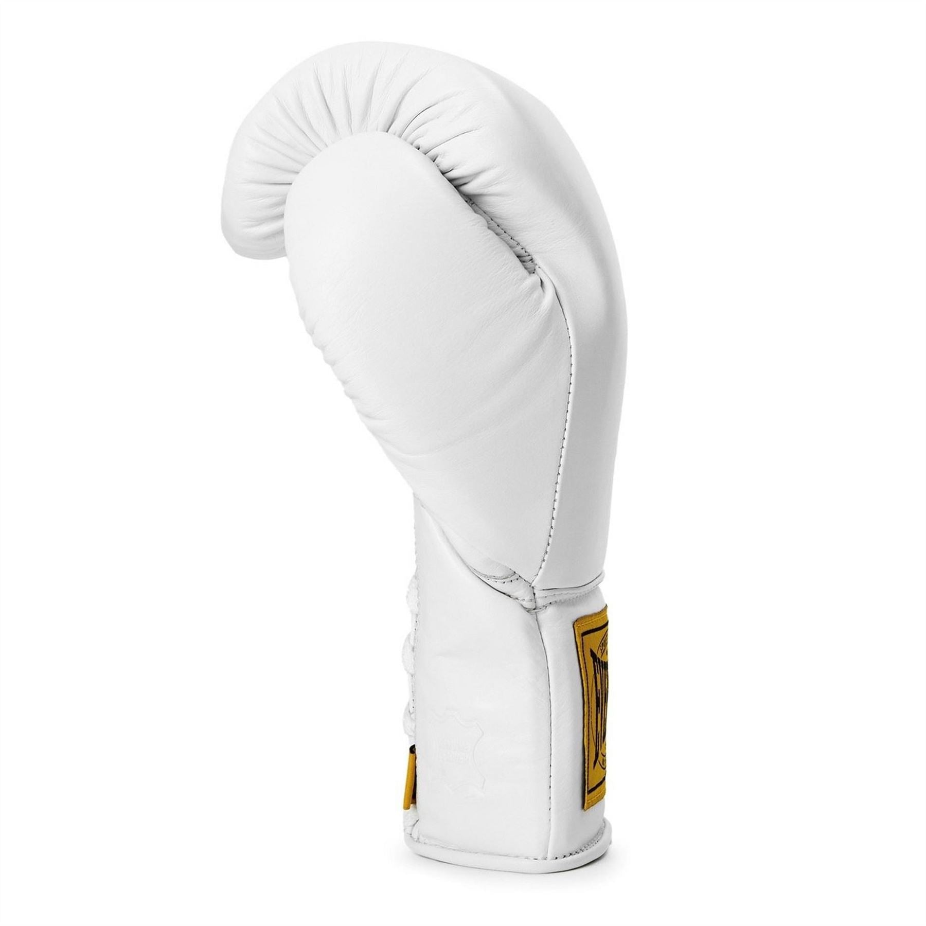 Everlast Pro Leather Laced Boxing Gloves