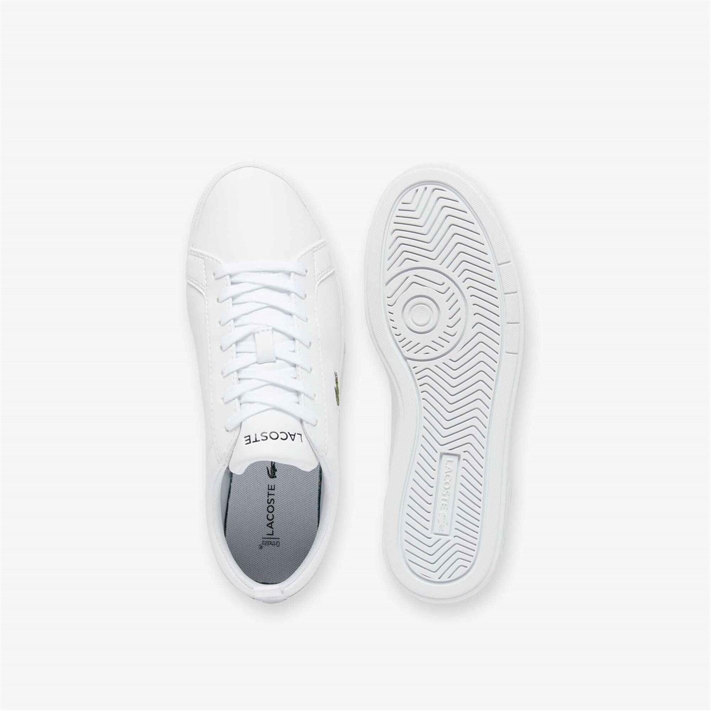 Lacoste Low Top Trainers