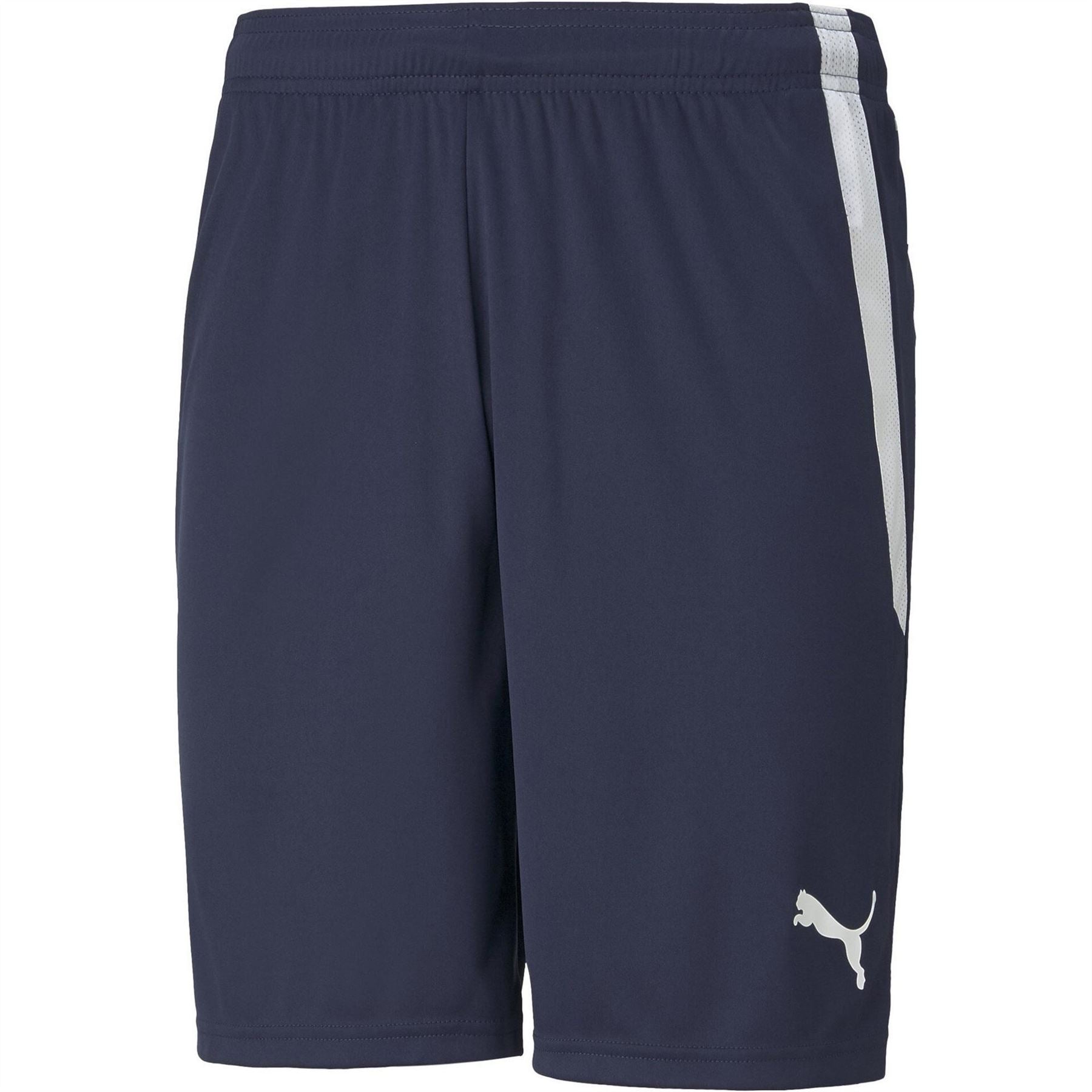 Puma Mens Teamliga Shorts Football Shorts