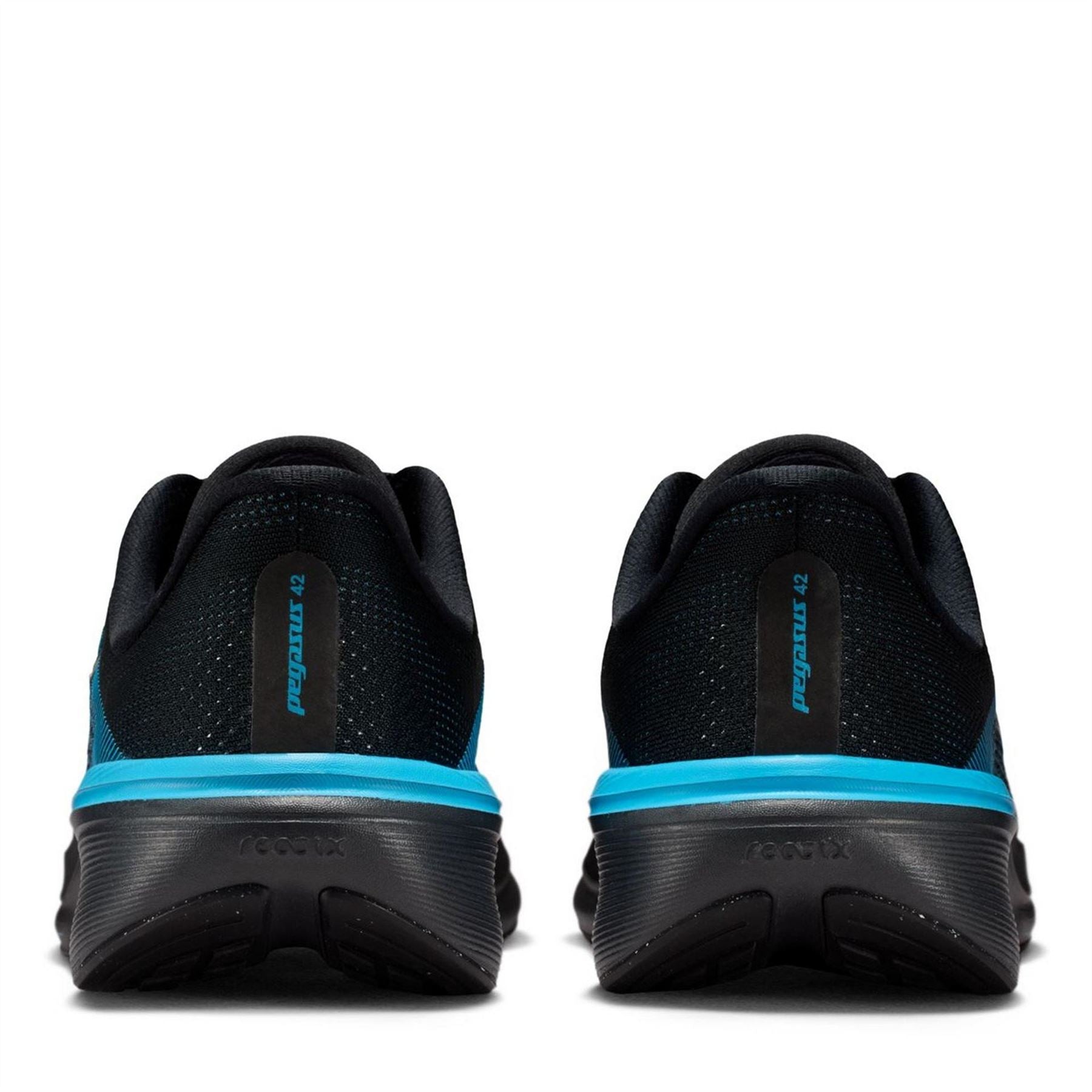 Nike Pegasus 42 Nn Ch71