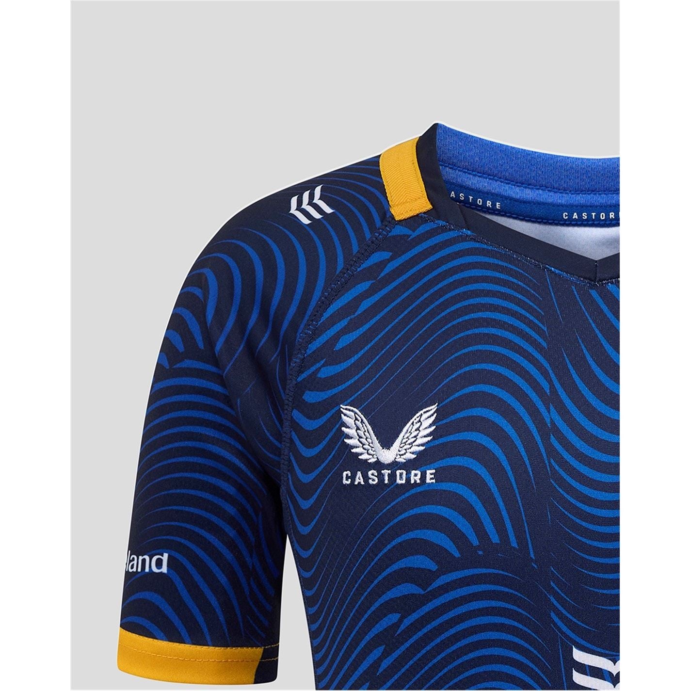 Castore Leinster Third Jersey Junior 25 26