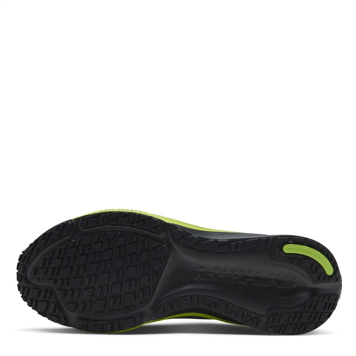 Nike Pegasus 42 GorE-Tex Sn71