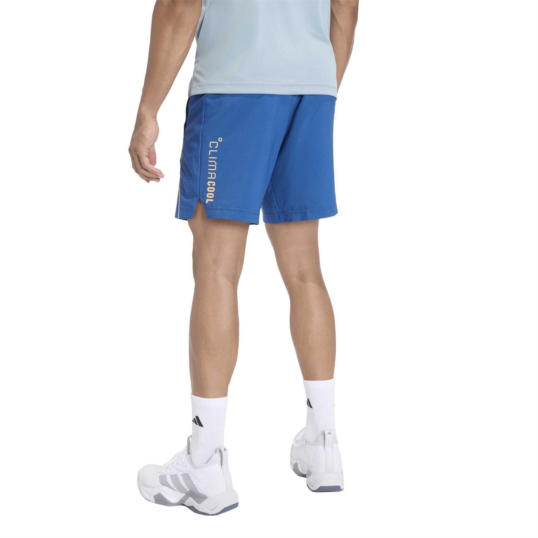 adidas Performance Gym Shorts