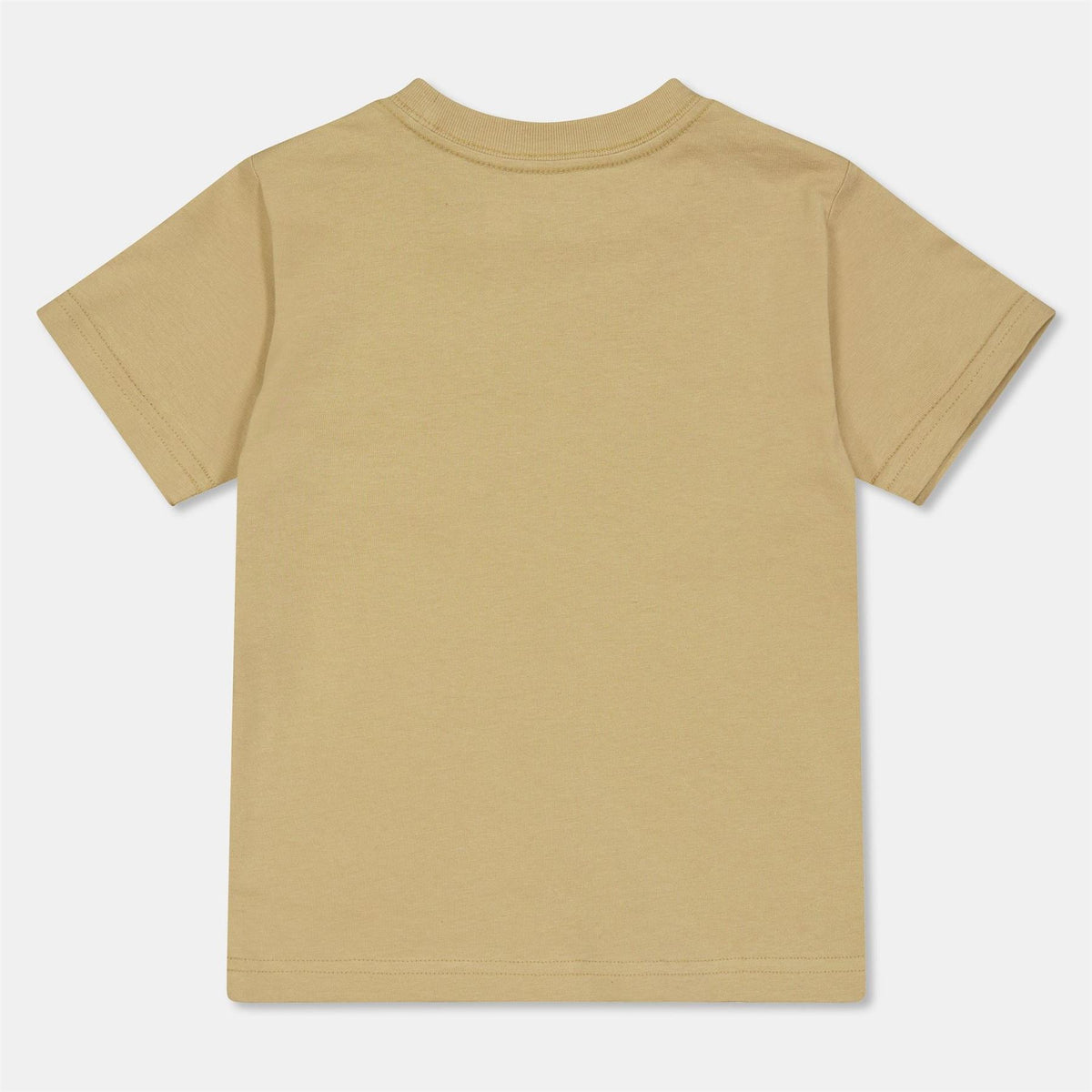 Polo Ralph Lauren Regular Fit Logo Print Crew Neck T-Shirt