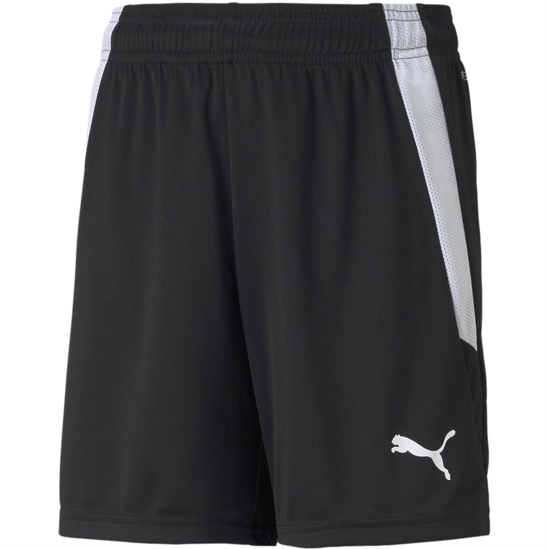 Puma Teamliga Shorts Jr Football Short Unisex Kids