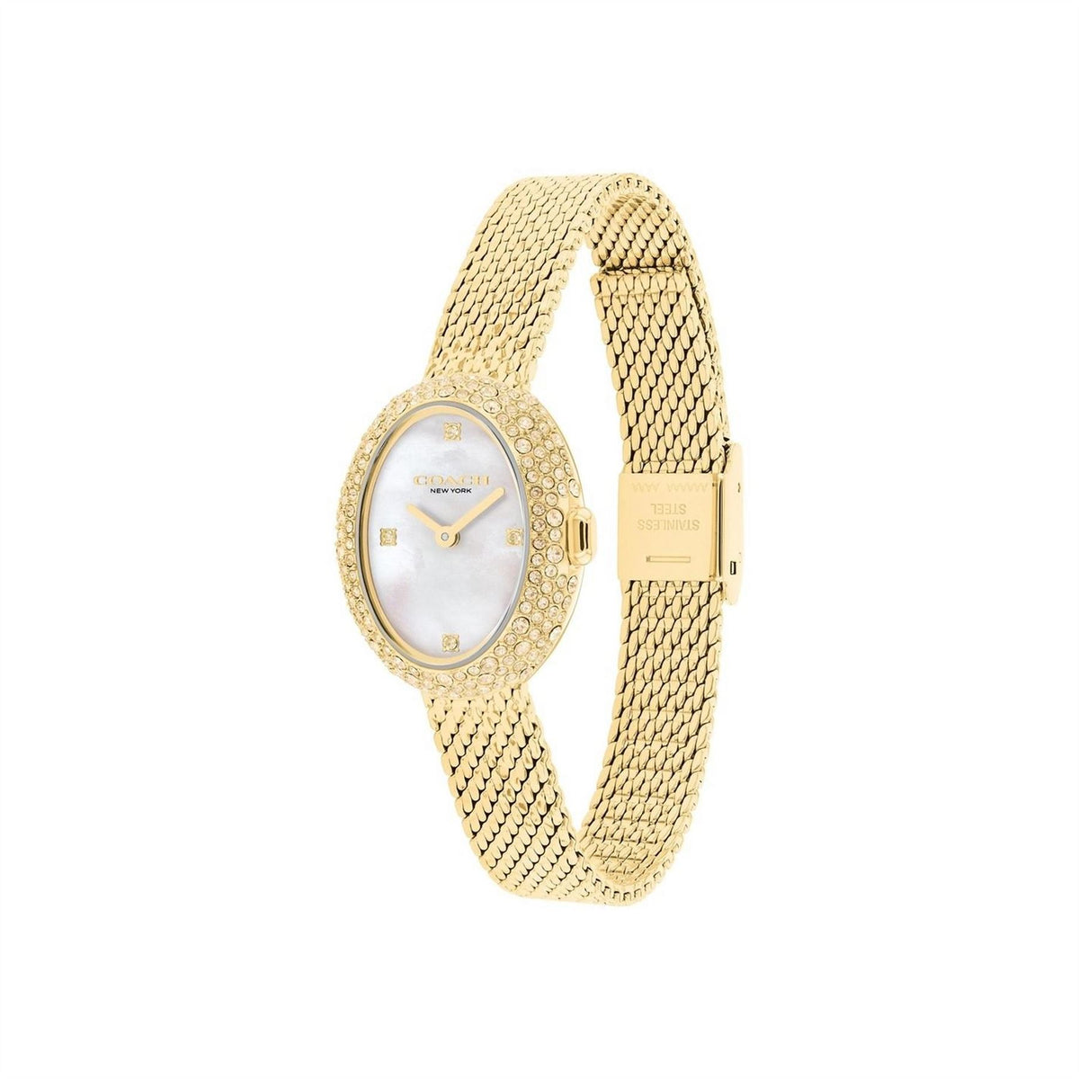 Coach Mesh Watch