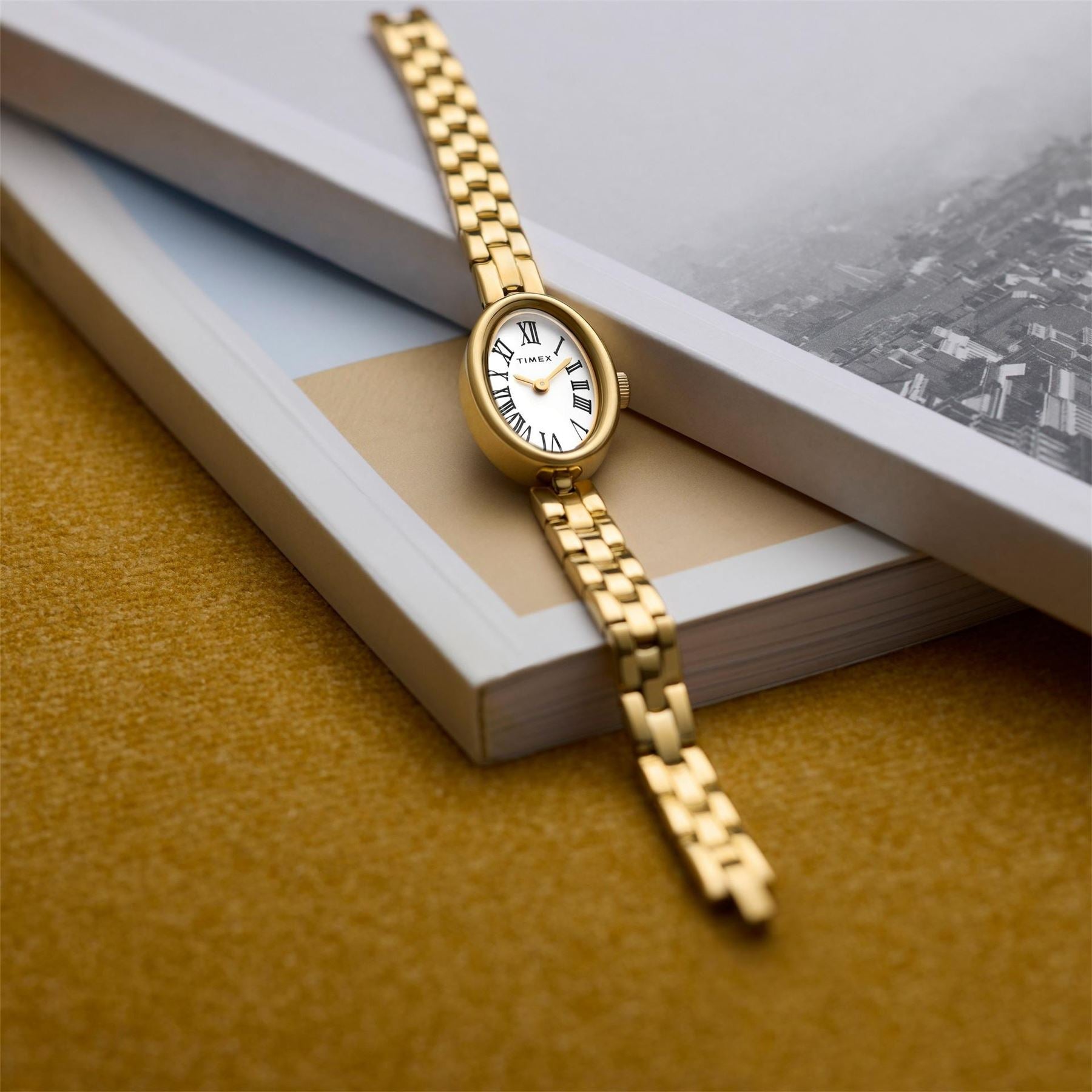 Timex Quartz Analogue Watch
