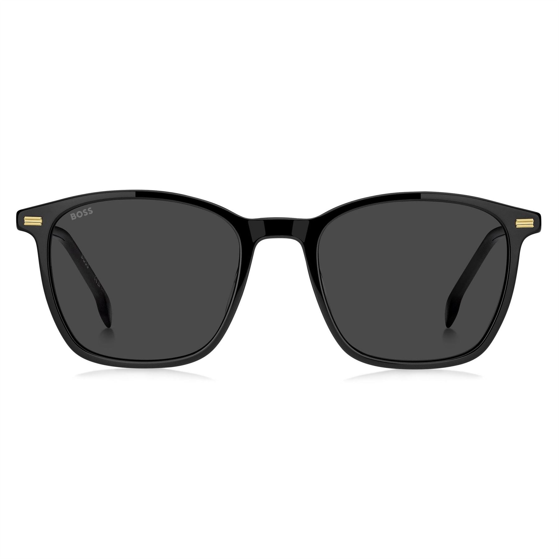 Boss Panthos Wayfarer Sunglasses