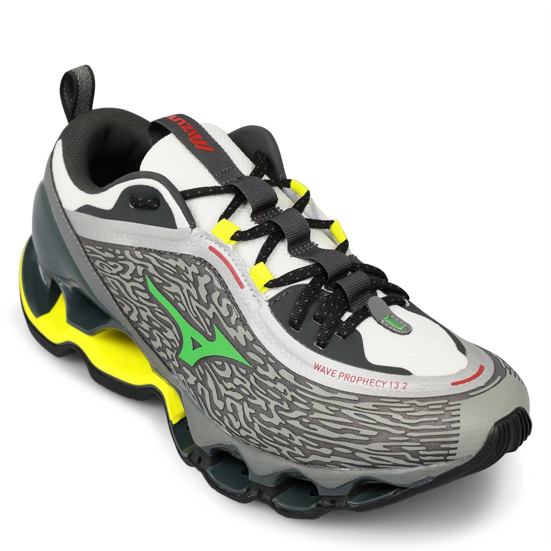Mizuno Wave Prophecy