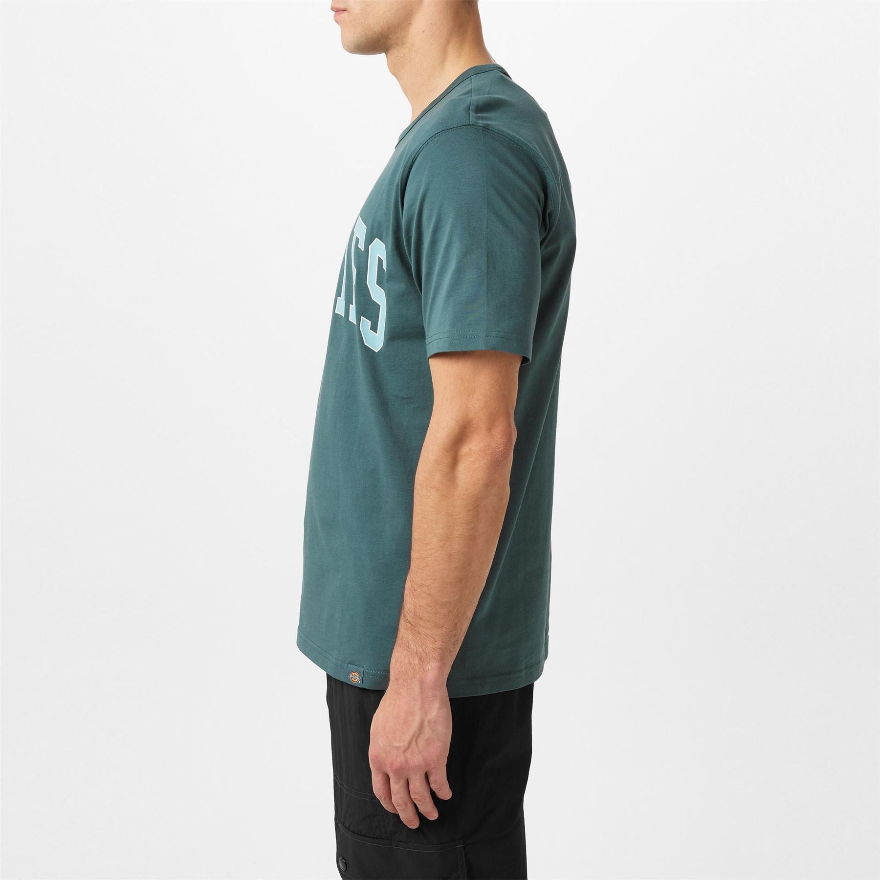 Dickies Aitkin Tee