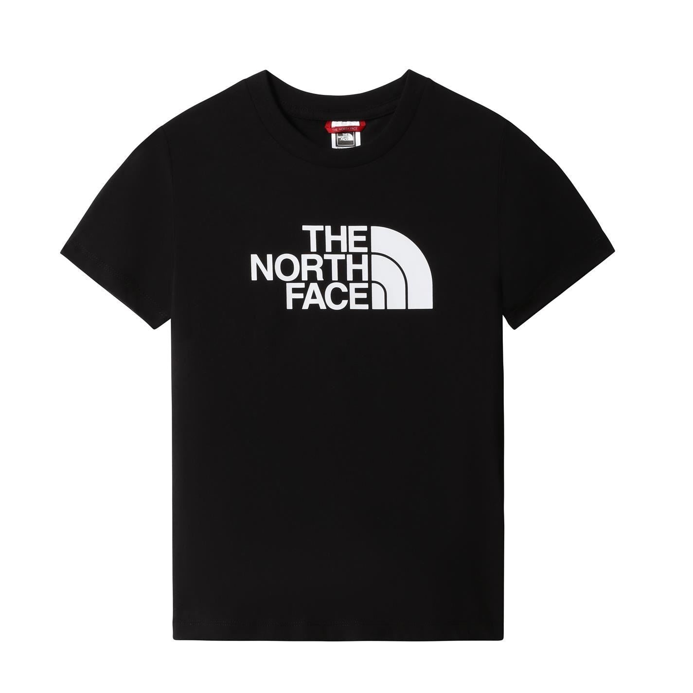 The North Face Logo T-Shirt