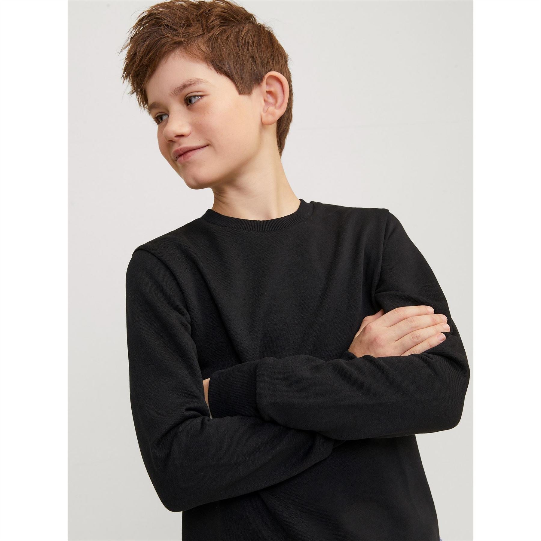 Jack and Jones Crew Neck Regular Fit Long Sleeve Sweater