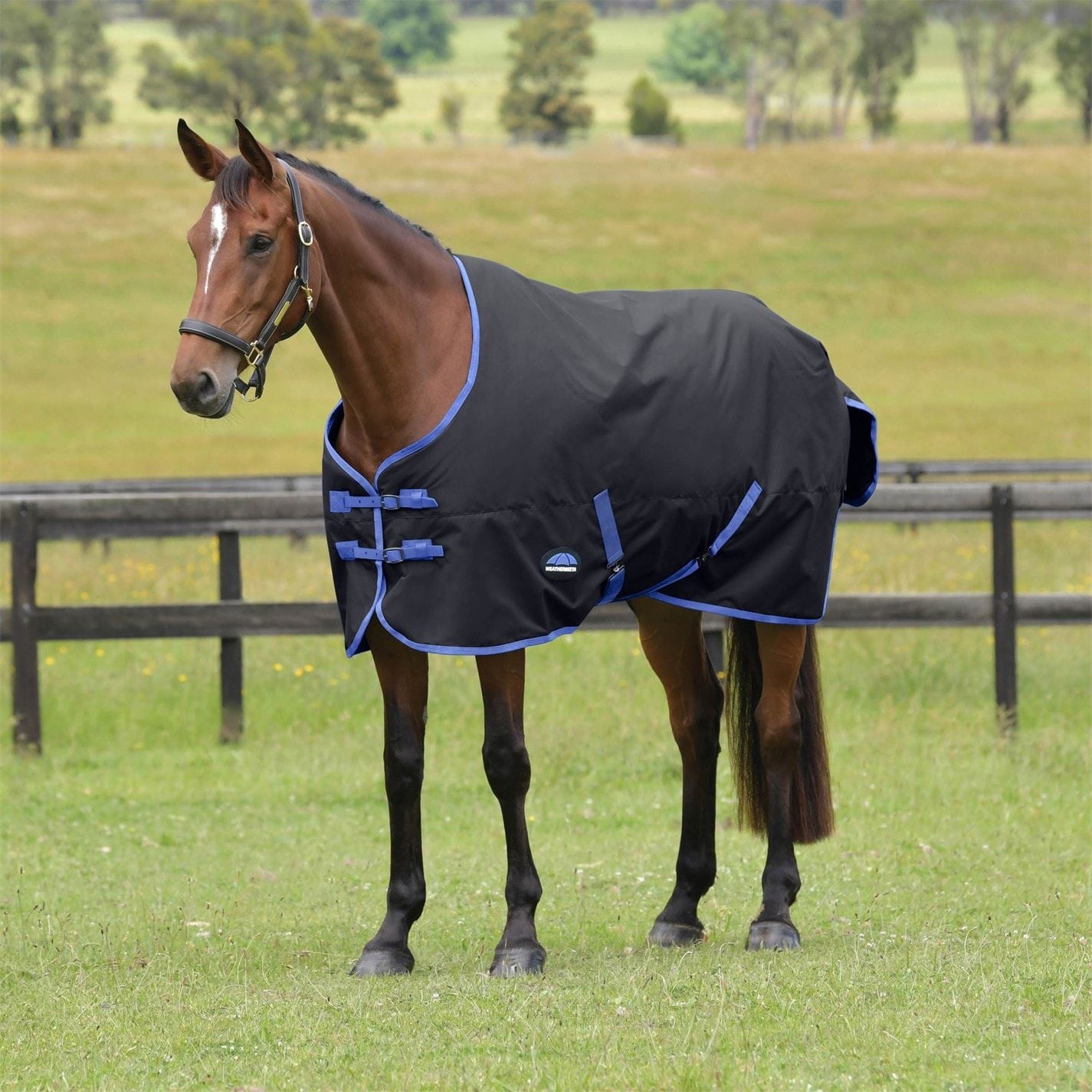 Weatherbeeta Comfitec Tyro Standard Neck 220g Turn Out Rug