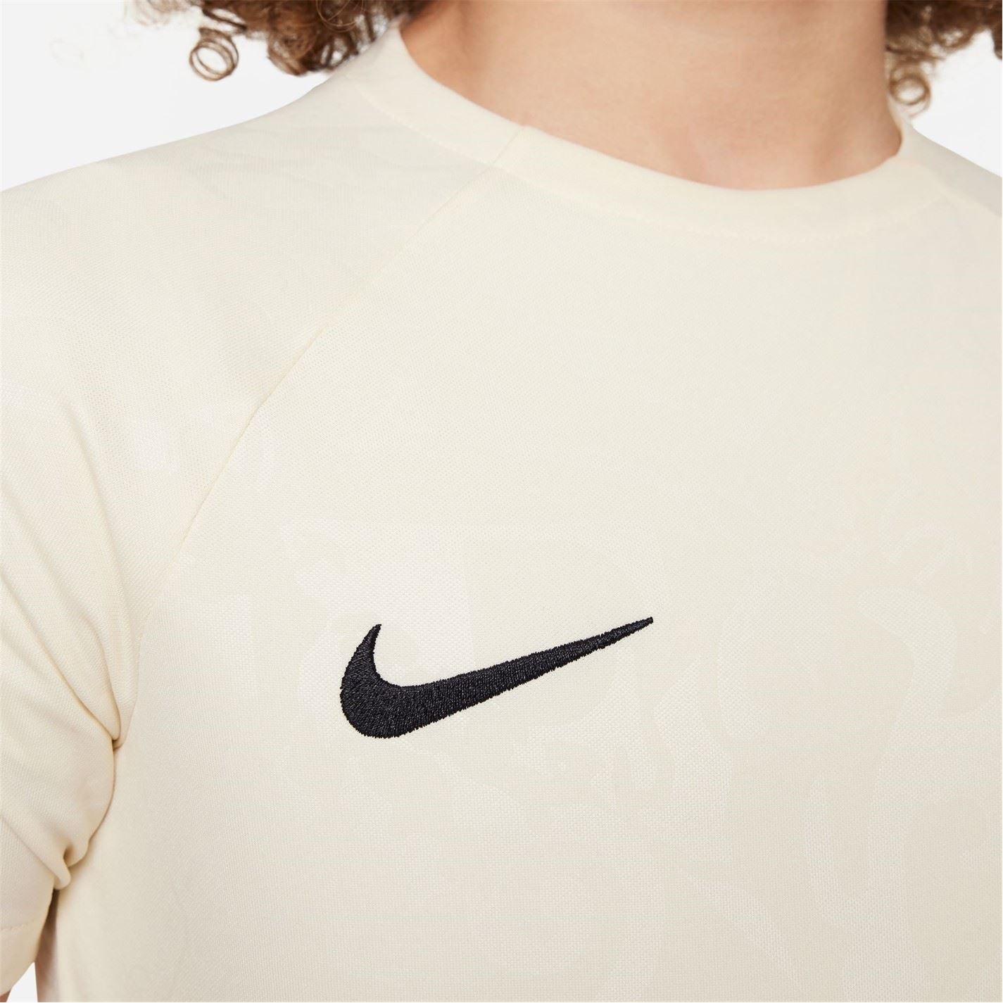 Nike Chelsea Fc Academy Pro Juniors  Pre Match Top 2023 2024